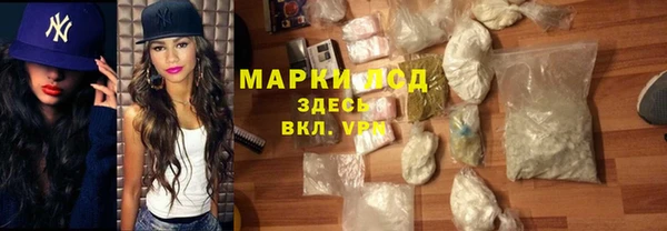 прущие грибы Бронницы