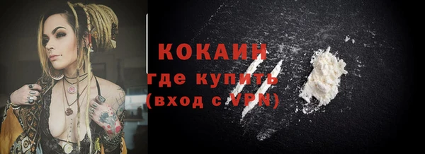 прущие грибы Бронницы