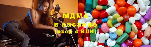 прущие грибы Бронницы