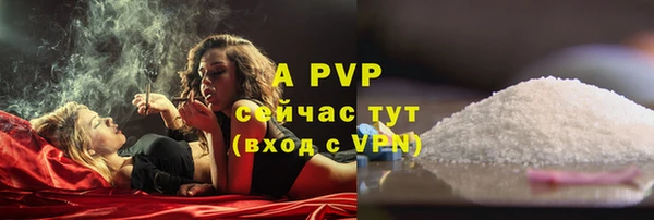 амф Бородино
