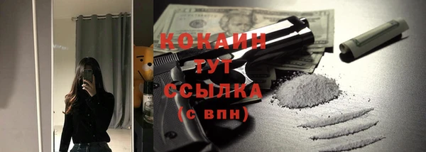 амф Бородино