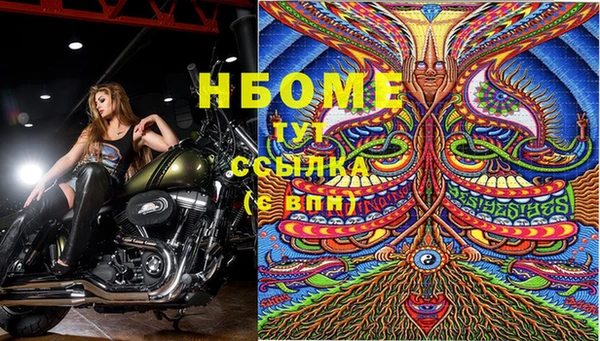 прущие грибы Бронницы