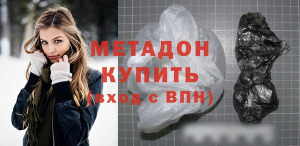 прущие грибы Бронницы