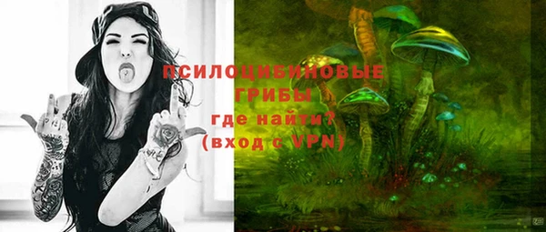 амф Бородино